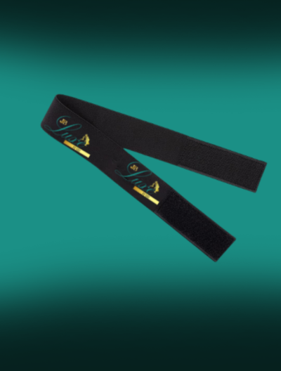 MELT BAND